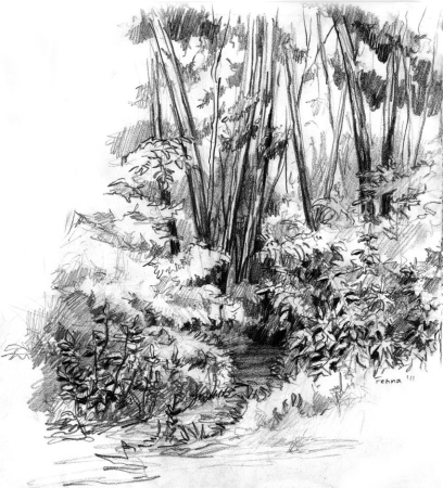 Стилизация деревьев в графике