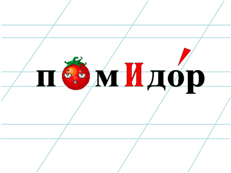 Словарное слово помидор в картинках