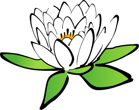 Кувшинка белая водяная Лилия