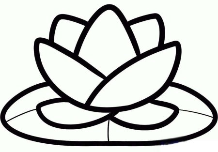 Кувшинка белая (Nymphaea Alba)