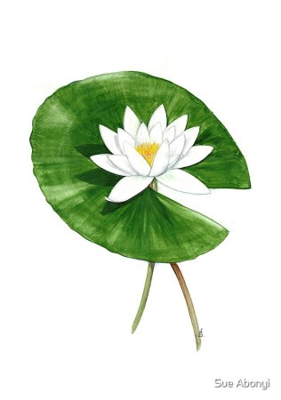 Цветочек раскраска для детей