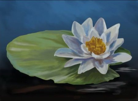 Лотос рисунок