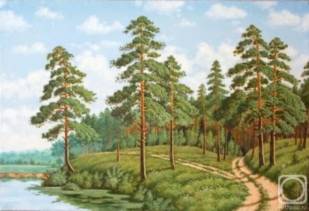 Хвойный лес для детей