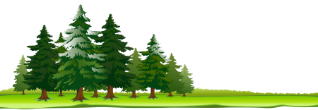 Лес на прозрачном фоне