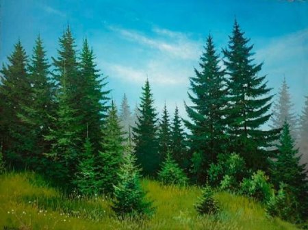 Еловый лес для детей