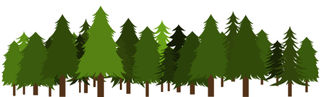 Лес на белом фоне