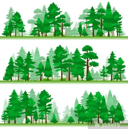 Лес Векторная иллюстрация