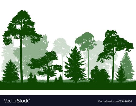 Векторная иллюстрация Сосновый лес