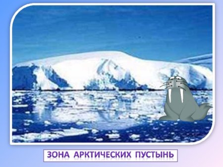 Зона арктических пустынь в научной экспедиции