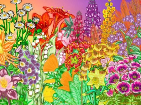 Цветик семицветик рисунок