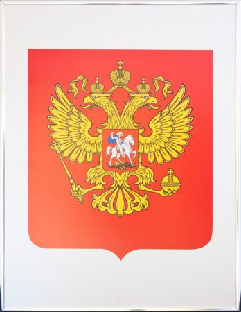 Герб России рисунок карандашом