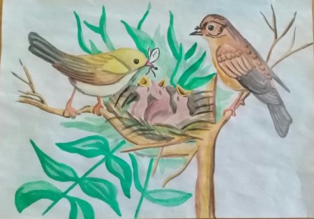 Рисование птицы в гнезде