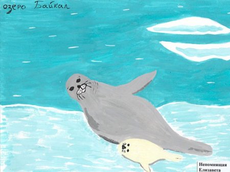 Рисунок нерпы на Байкале