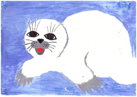 Рисование нерпы в средней группе