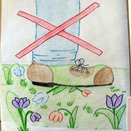 Плакат берегите растения