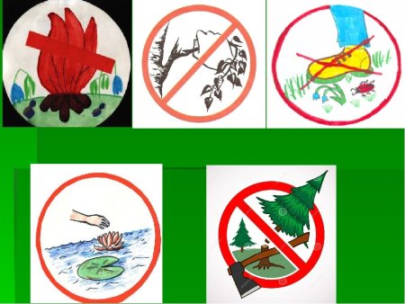 Охрана животных и растений