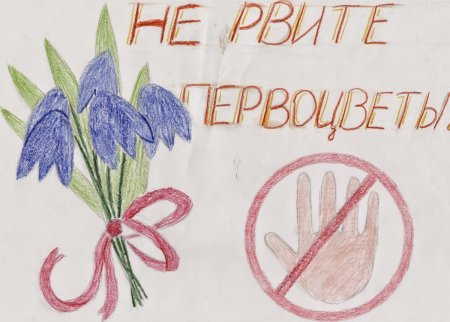 Плакат береги растения