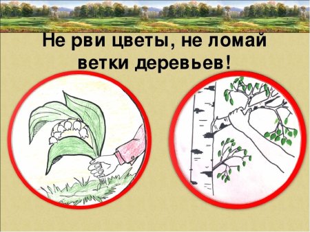 Охрана растений рисунок