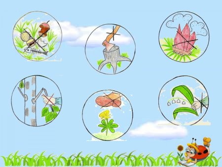 Берегите растения