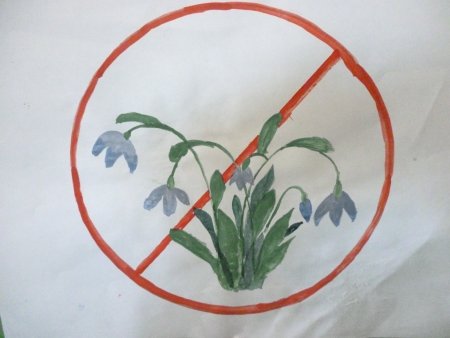 Плакат берегите цветы