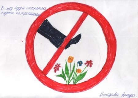 Плакат береги растения