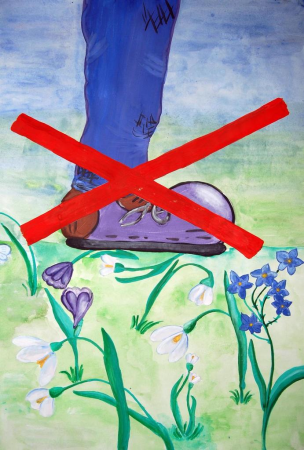 Плакат берегите растения