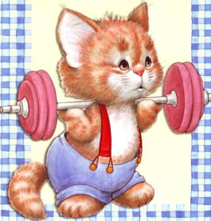 На зарядку... Становись!