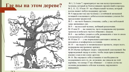 Проективная методика дерево Пономаренко