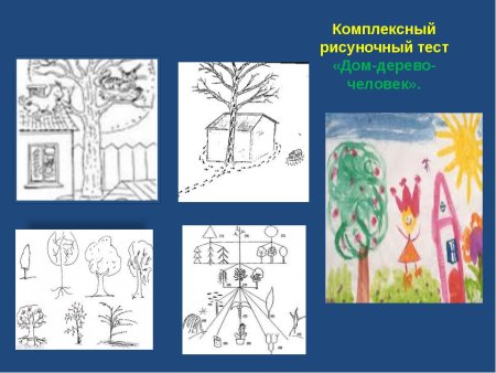 Проективная методика дерево Пономаренко