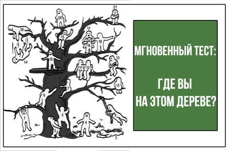 Тест дерево