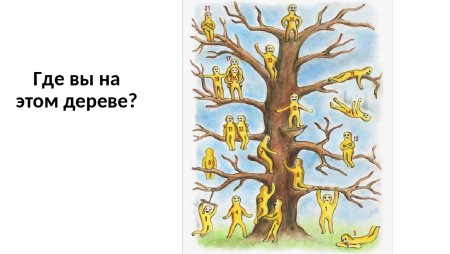 Методика «дерево» л.п. Пономаренко, д. Лампенов
