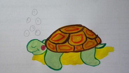 Рисование черепахи для детей