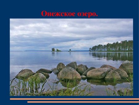 Рисунки природы
