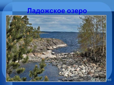 Берег реки карандашом