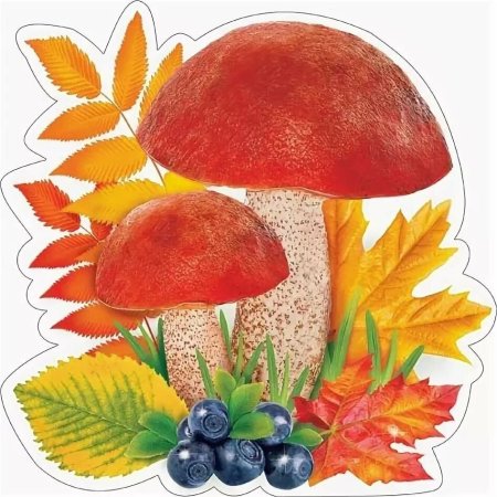 Осенние грибы для детей