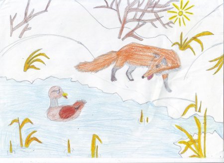 Серая шейка рисунок к сказке