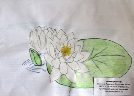 Рисунки редких растений