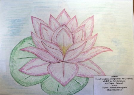 Рисунки цветов которые занесены в красную книгу