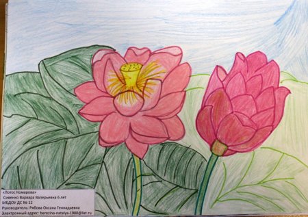 Растения красной книги рисунки детей