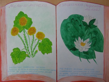 Красная книга рисунок для детей