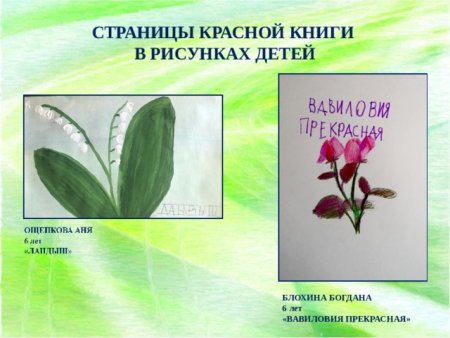 Рисунок на тему страницы красной книги