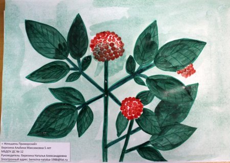 Растения из красной книги Приморского края