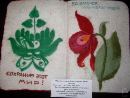 Поделка красная книга