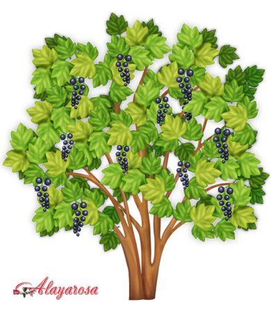 Куст смородины для детей