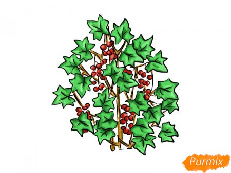 Смородина кустарник рисунок для детей