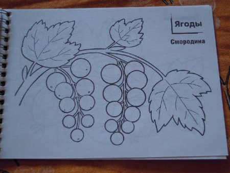 Кустарники пособия для детей