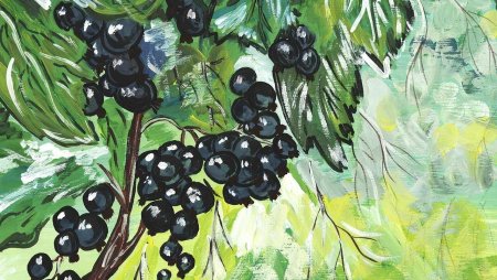 Кустарник крыжовник раскраска