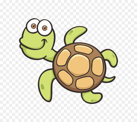 Черепаха рисунок