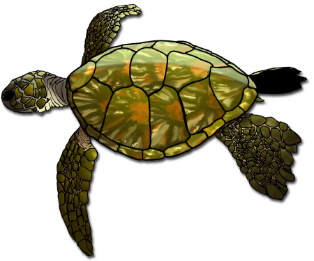 Черепаха для детей