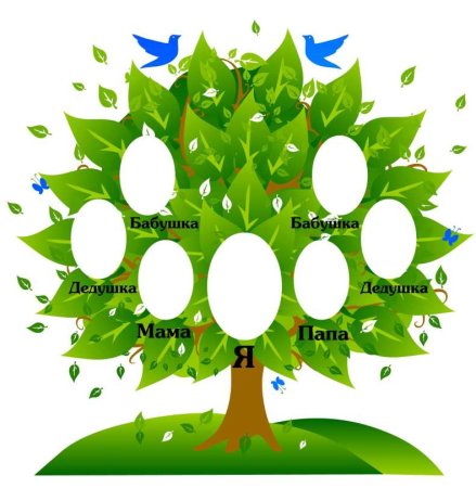 Генеалогическое Древо яблоня рисунок